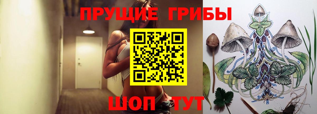Псилоцибиновые грибы Psilocybe  Вход с VPN  купить  сайты  Алейск 